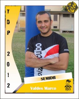 SEMIDII